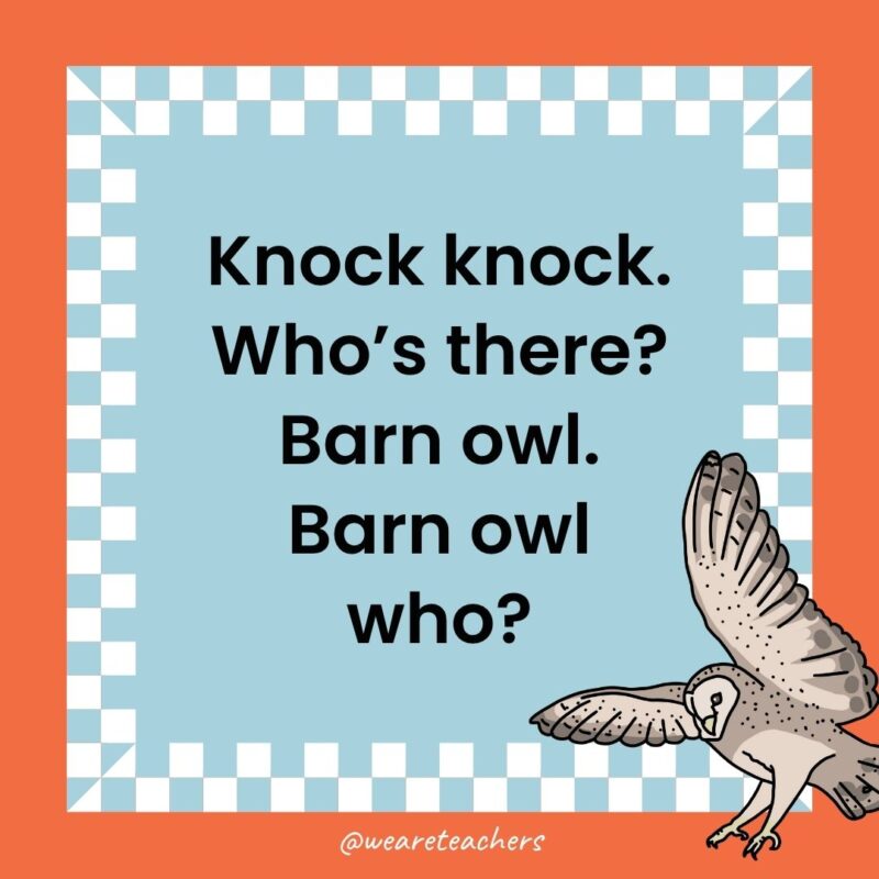 a joke that states: Knock knock. Who’s there? Barn owl. Barn owl who?
