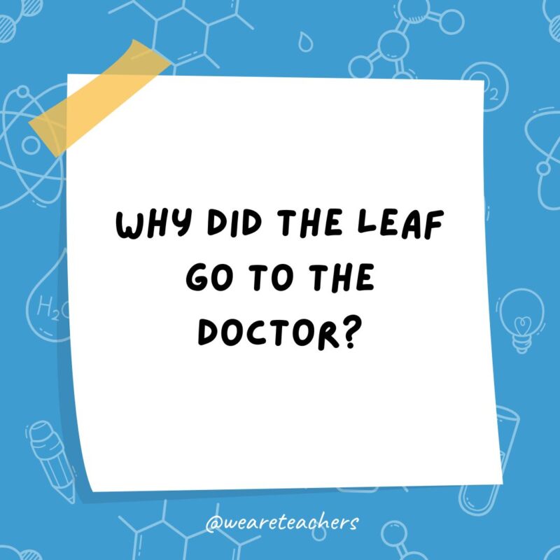 a post it note clipart with the joke: why did the leaf go to the doctor?