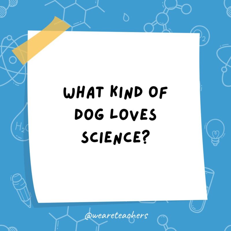 a post it note clipart with the joke: what kind of dog loves science?