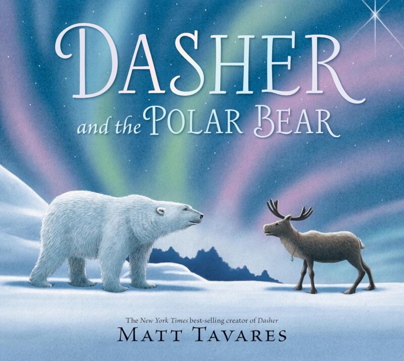 Dasher and the Polar Bear book cover