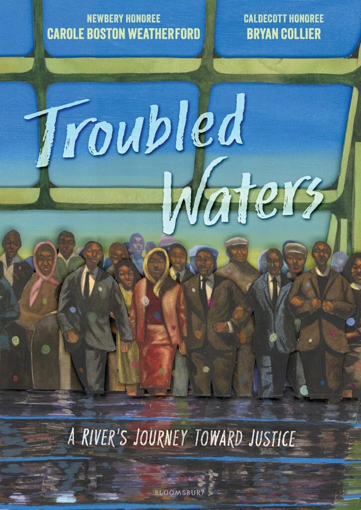Troubled Waters book cover