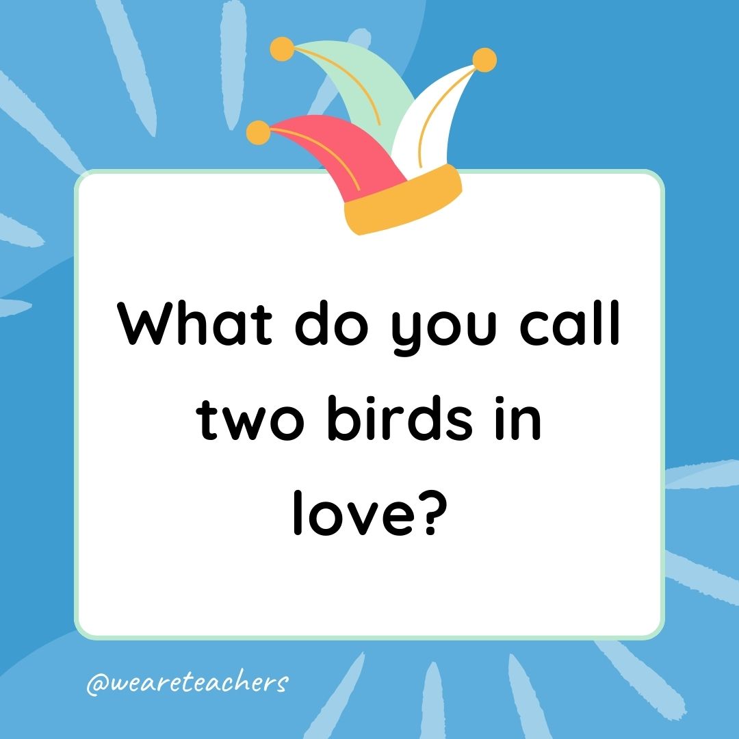 Best Jokes for Kindergarteners