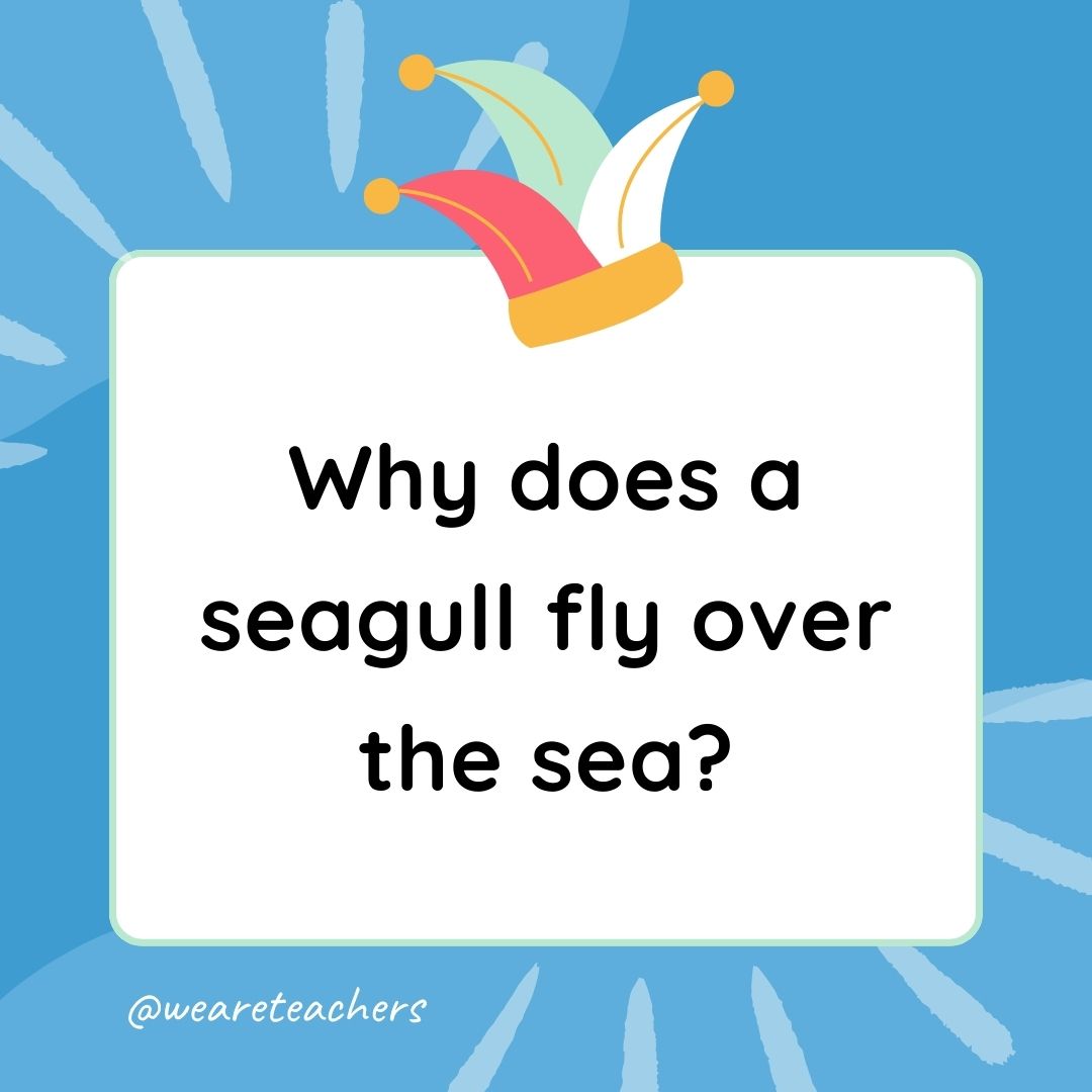 Best Jokes for Kindergarteners