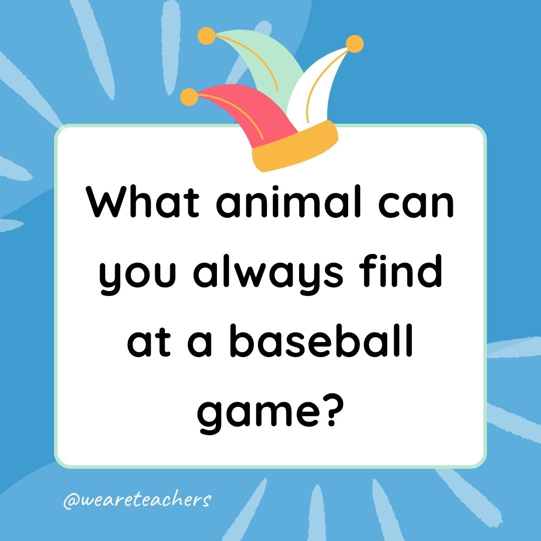 Best Jokes for Kindergarteners