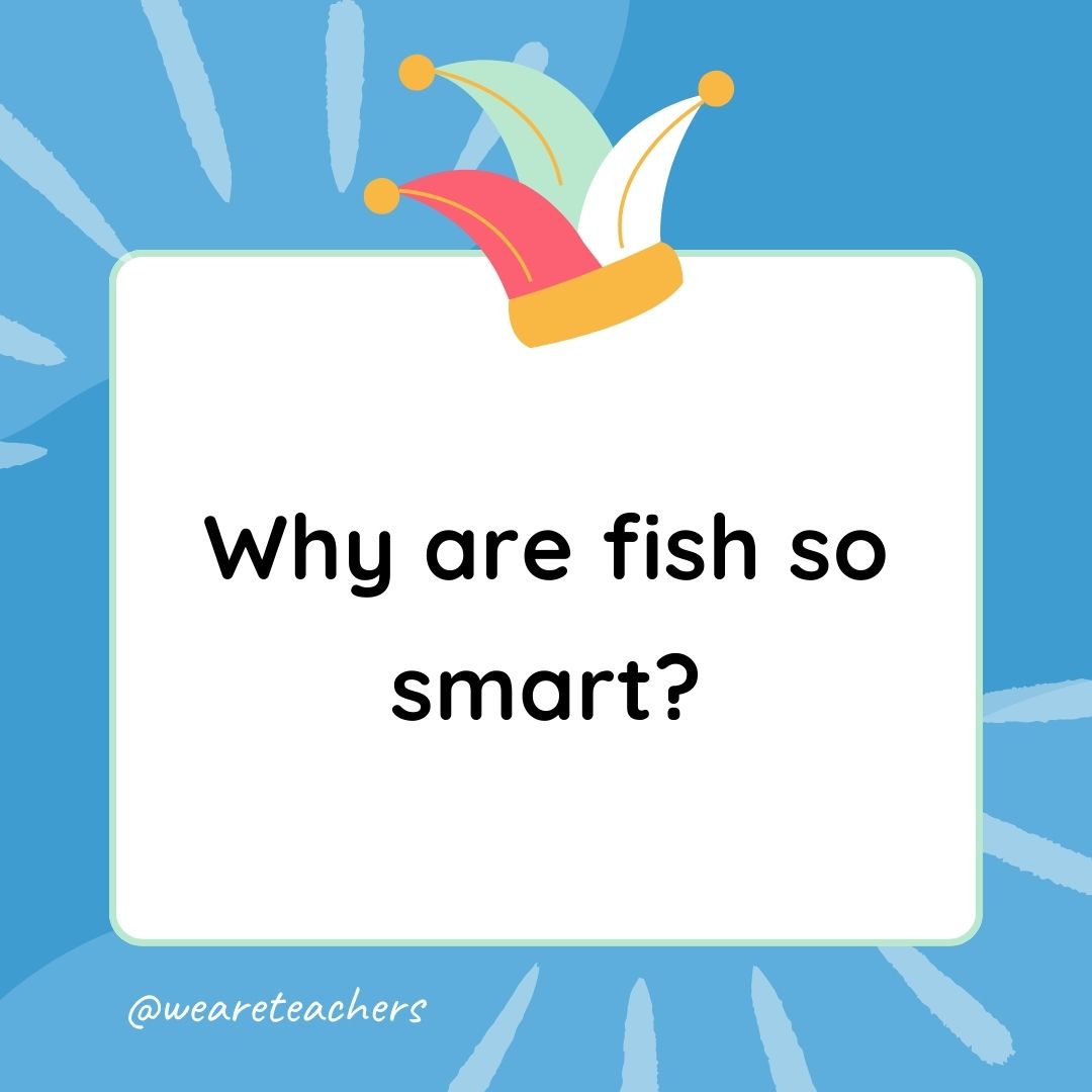 Best Jokes for Kindergarteners