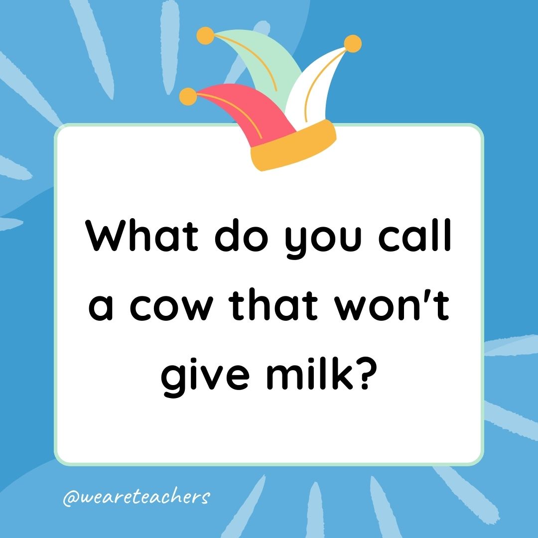 Best Jokes for Kindergarteners