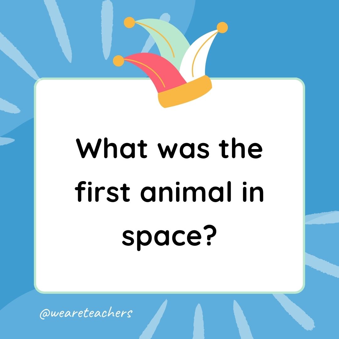 Best Jokes for Kindergarteners