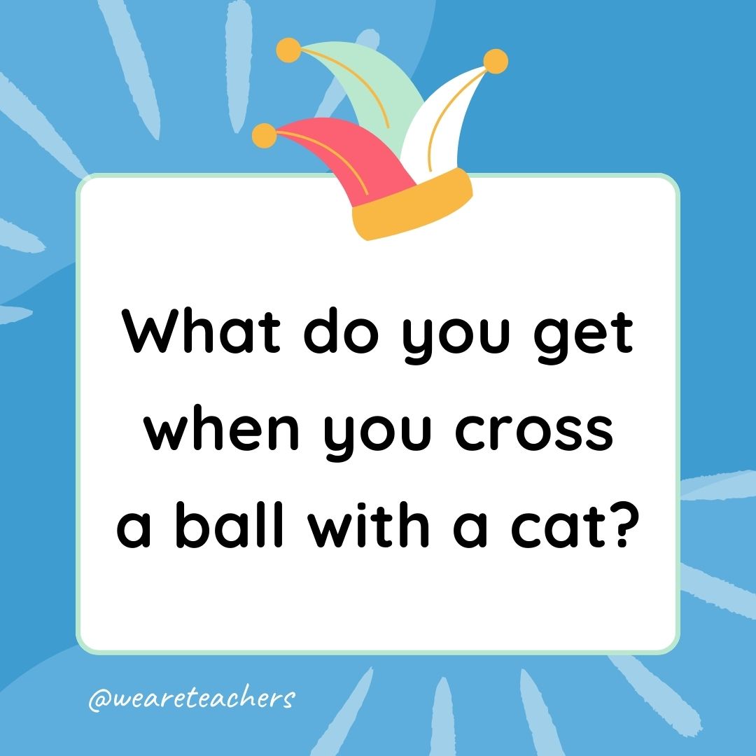 Best Jokes for Kindergarteners