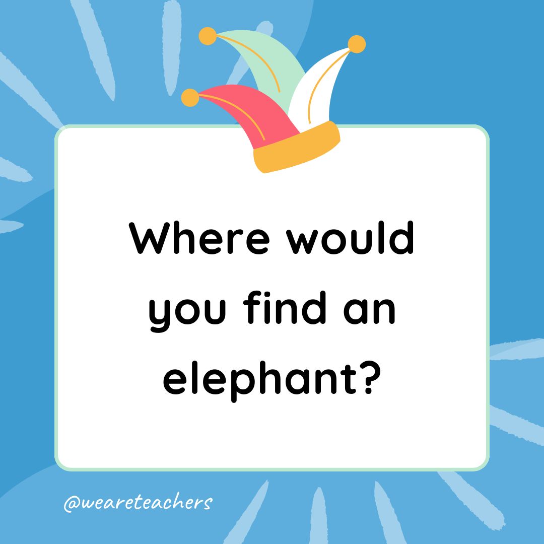 Best Jokes for Kindergarteners Jokes