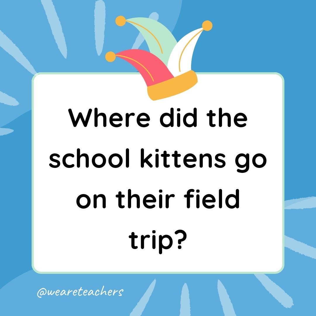 Best Jokes for Kindergarteners