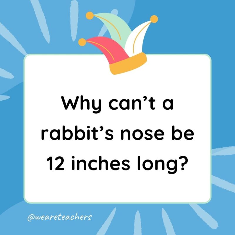 Best Jokes for Kindergarteners