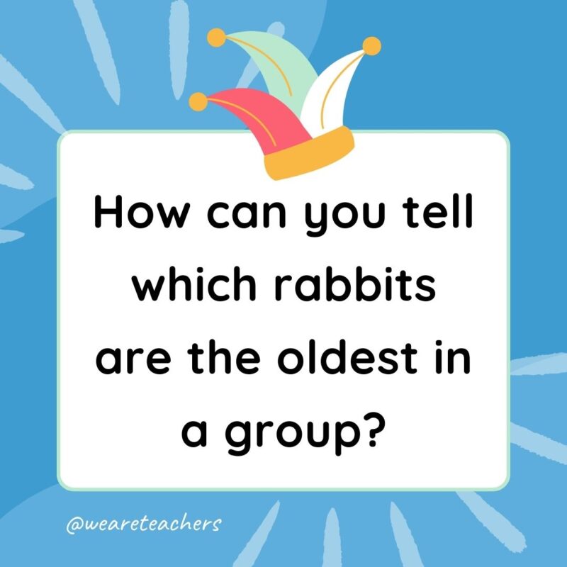 Best Jokes for Kindergarteners