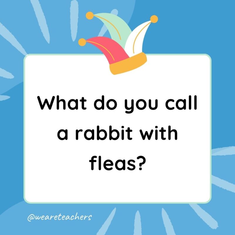 Best Jokes for Kindergarteners