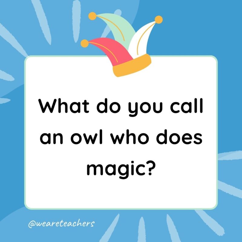 Best Jokes for Kindergarteners