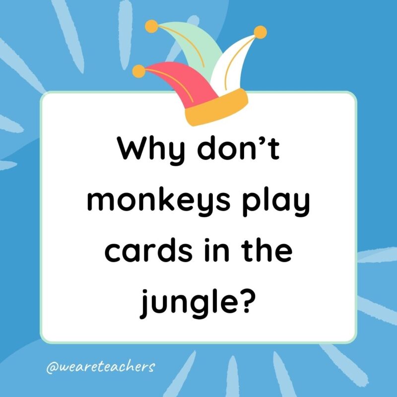 Best Jokes for Kindergarteners