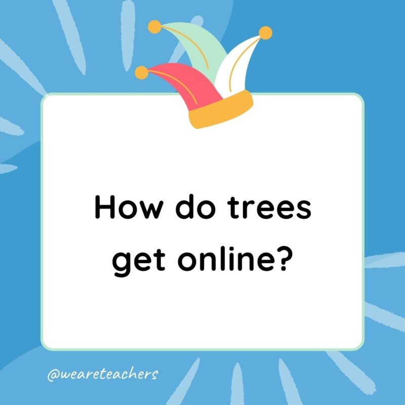 Best Jokes for Kindergarteners