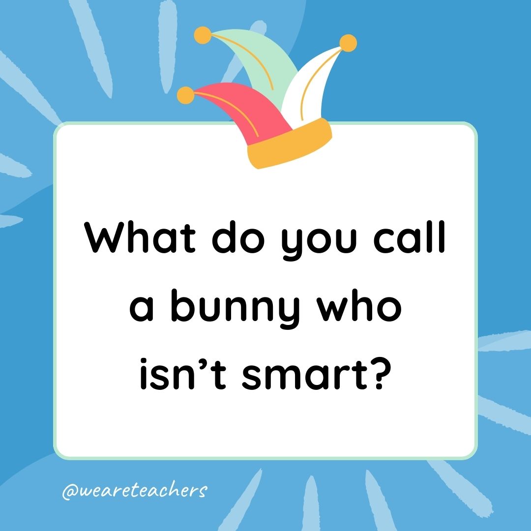 Best Jokes for Kindergarteners