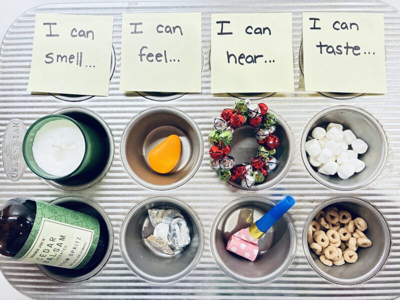 Five Senses Activities a muffin tin of various objects that students organize based on different senses