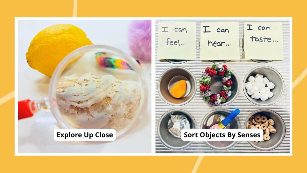 an image of two five senses activities for kids that include using a magnifying glass and sorting objects by senses