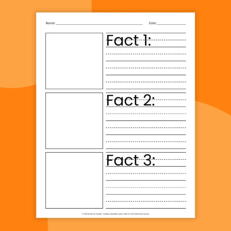 Opinion Writing Facts Page Opinion writing graphic organizer facts page on an orange background