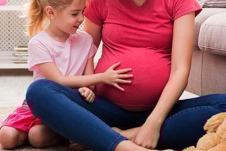 Journey to birth - cover image