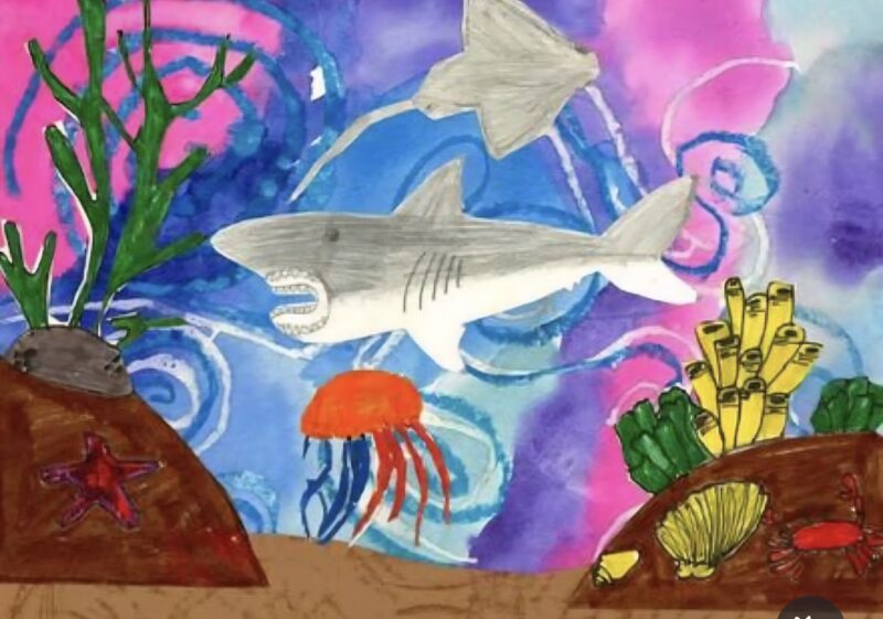 A shark and jellyfish drawn against an oceanscape background