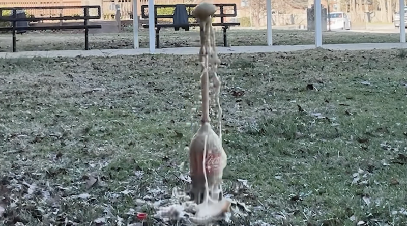 easy science experiment for kids: mentos and diet coke