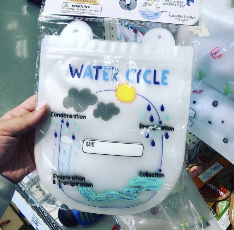 easy science experiment for kids: water cycle in a bag