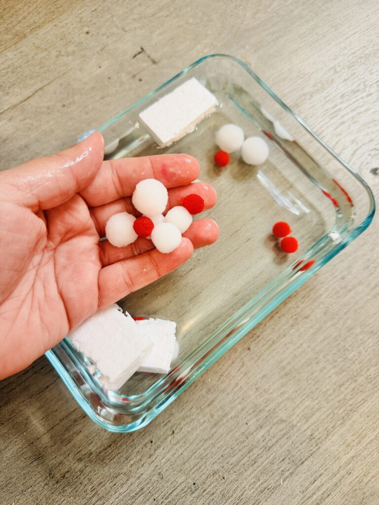 Circulatory System Activities a sensory bin representing white and red blood cells