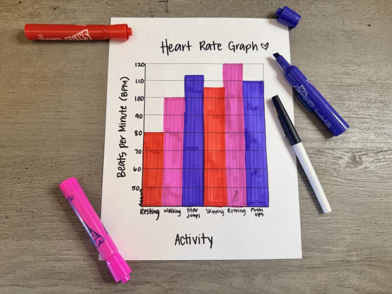 Circulatory System Activities an image of a heart rate bar graph