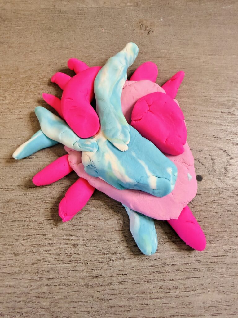 Play Dough Heart heart made out of play dough to show circulatory system.
