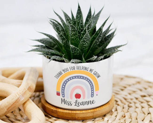 Small white ceramic planter with a succulent. Printing on the planter reads "Thank You for Helping Me Grow" with a rainbow and teacher's name