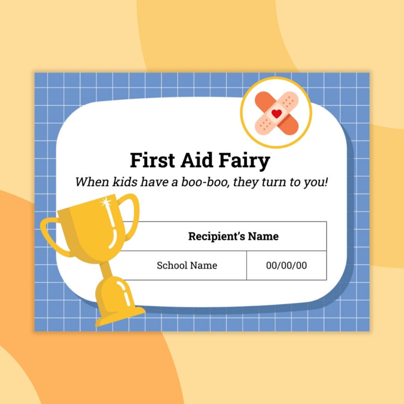 Flat lay of a teacher award for First Aid Fairy