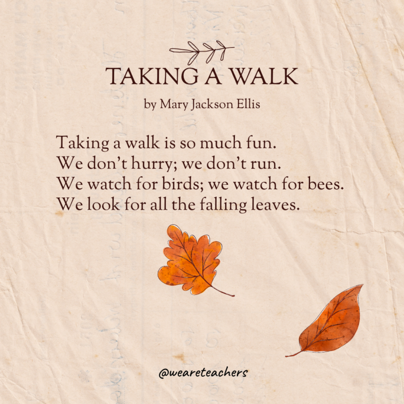 Taking A Walk Taking A Walk by Mary Jackson Ellis