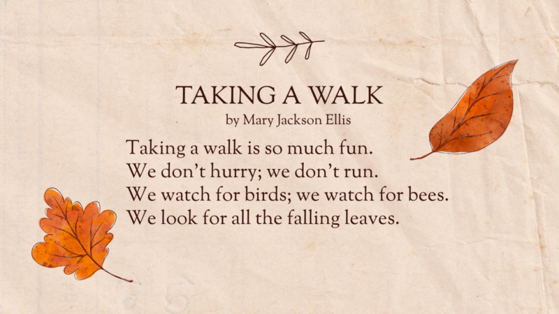 Taking A Walk poem